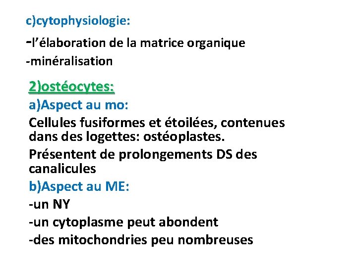c)cytophysiologie: -l’élaboration de la matrice organique -minéralisation 2)ostéocytes: a)Aspect au mo: Cellules fusiformes et