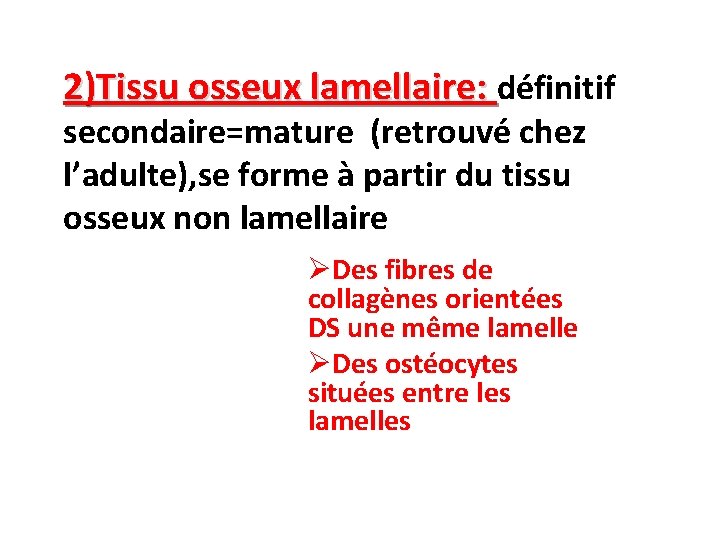 2)Tissu osseux lamellaire: définitif secondaire=mature (retrouvé chez l’adulte), se forme à partir du tissu