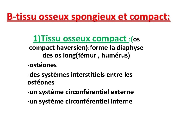 B-tissu osseux spongieux et compact: 1)Tissu osseux compact : (os compact haversien): forme la
