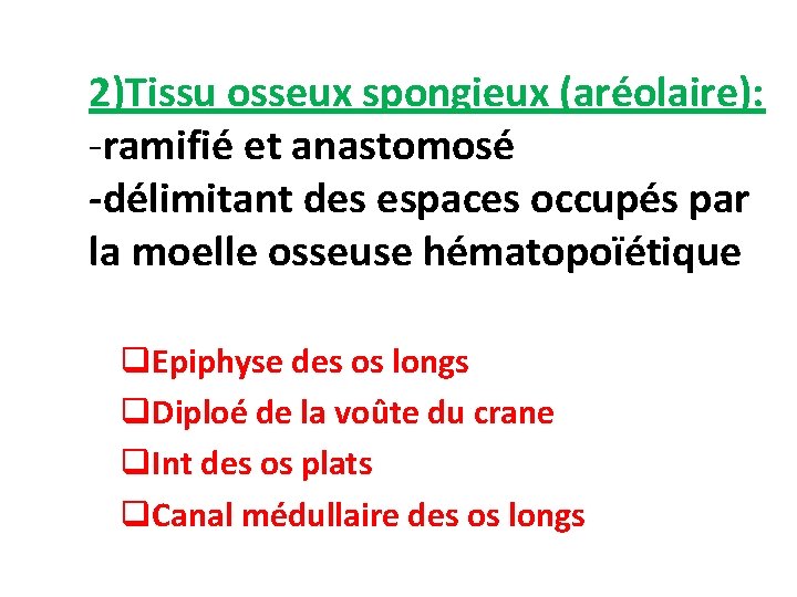 2)Tissu osseux spongieux (aréolaire): -ramifié et anastomosé -délimitant des espaces occupés par la moelle