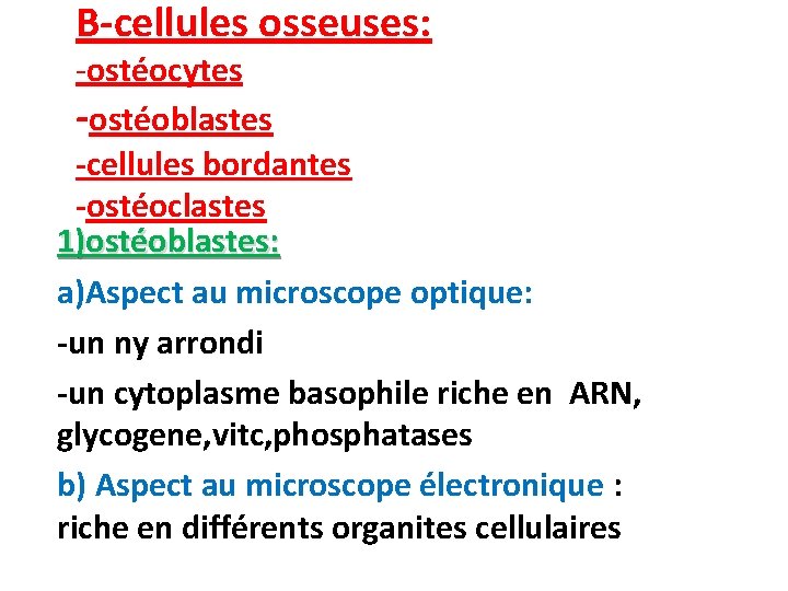 B-cellules osseuses: -ostéocytes -ostéoblastes -cellules bordantes -ostéoclastes 1)ostéoblastes: a)Aspect au microscope optique: -un ny