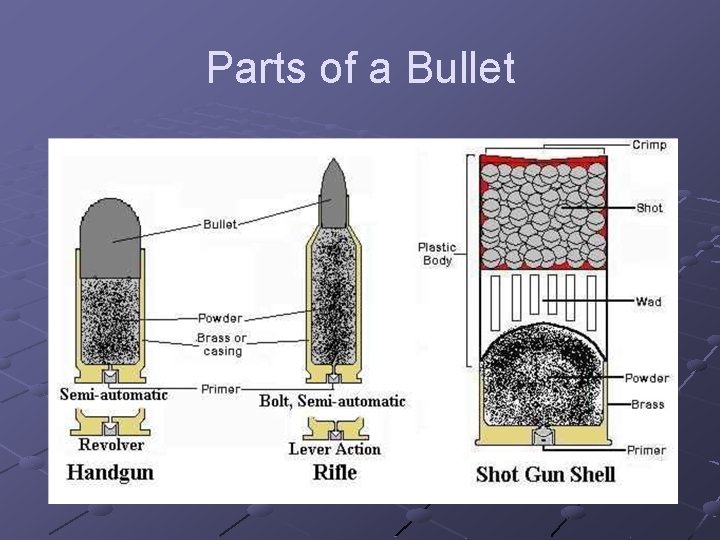 Parts of a Bullet 