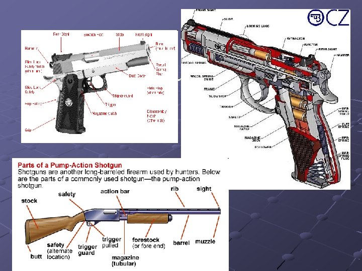 (Show diagram of gun) 