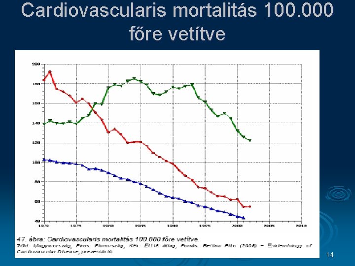 Cardiovascularis mortalitás 100. 000 főre vetítve 14 