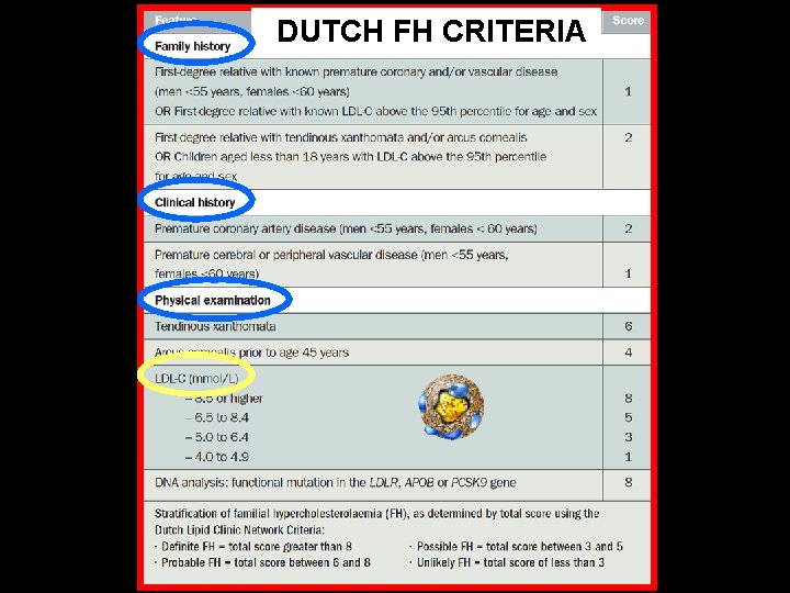 DUTCH FH CRITERIA 