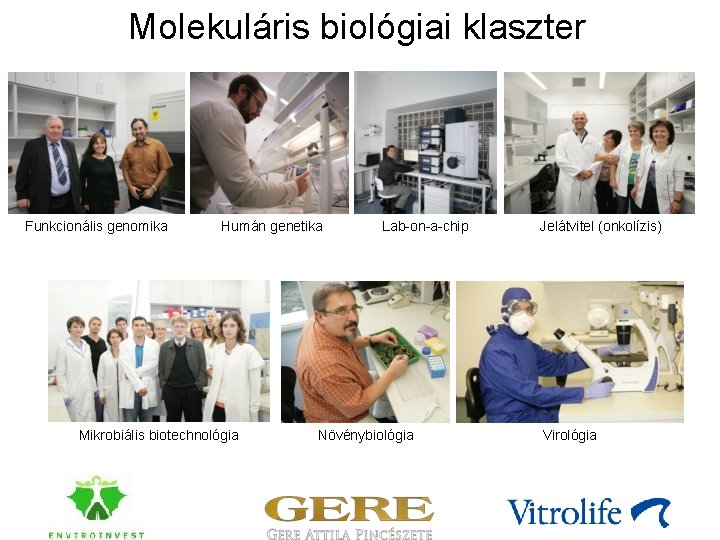 Molekuláris biológiai klaszter Funkcionális genomika Humán genetika Mikrobiális biotechnológia Lab-on-a-chip Növénybiológia Jelátvitel (onkolízis) Virológia