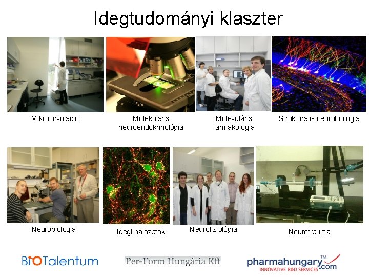 Idegtudományi klaszter Mikrocirkuláció Molekuláris neuroendokrinológia Neurobiológia Idegi hálózatok Molekuláris farmakológia Neurofiziológia Strukturális neurobiológia Neurotrauma