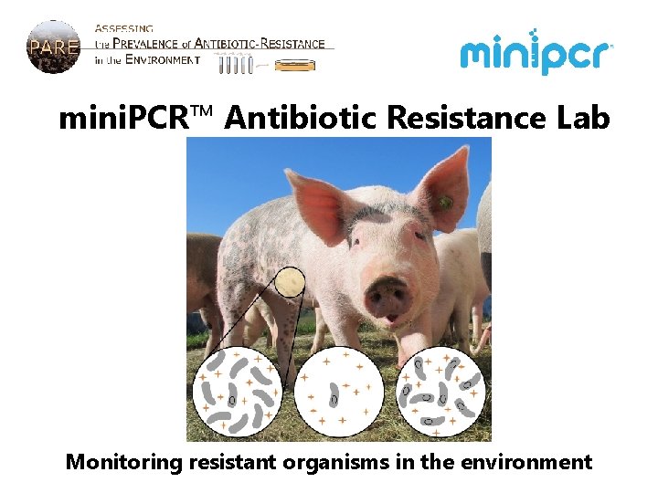 mini. PCR™ Antibiotic Resistance Lab Monitoring resistant organisms in the environment 