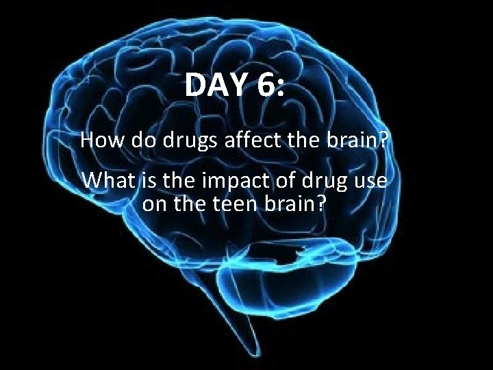 DAY 6: How do drugs affect the brain? What is the impact of drug