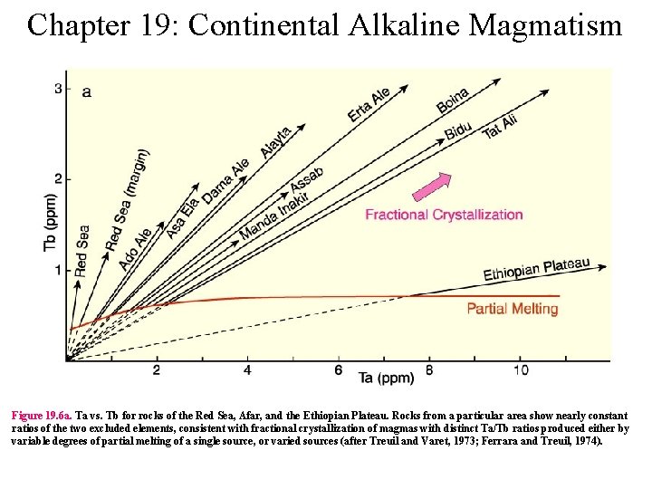 Chapter 19: Continental Alkaline Magmatism Figure 19. 6 a. Ta vs. Tb for rocks