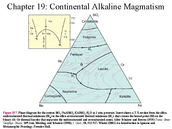 Chapter 19: Continental Alkaline Magmatism Figure 19. 7. Phase diagram for the system Si.