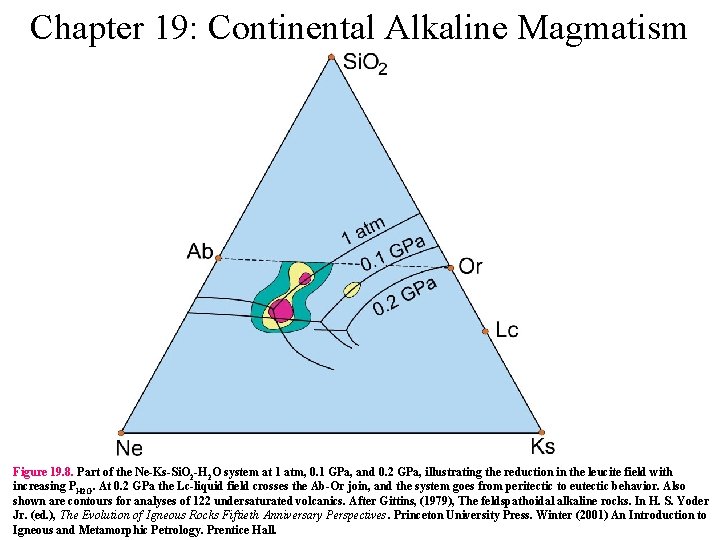 Chapter 19: Continental Alkaline Magmatism Figure 19. 8. Part of the Ne-Ks-Si. O 2