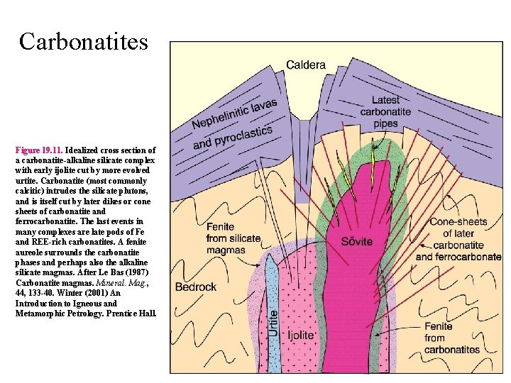 Carbonatites Figure 19. 11. Idealized cross section of a carbonatite-alkaline silicate complex with early