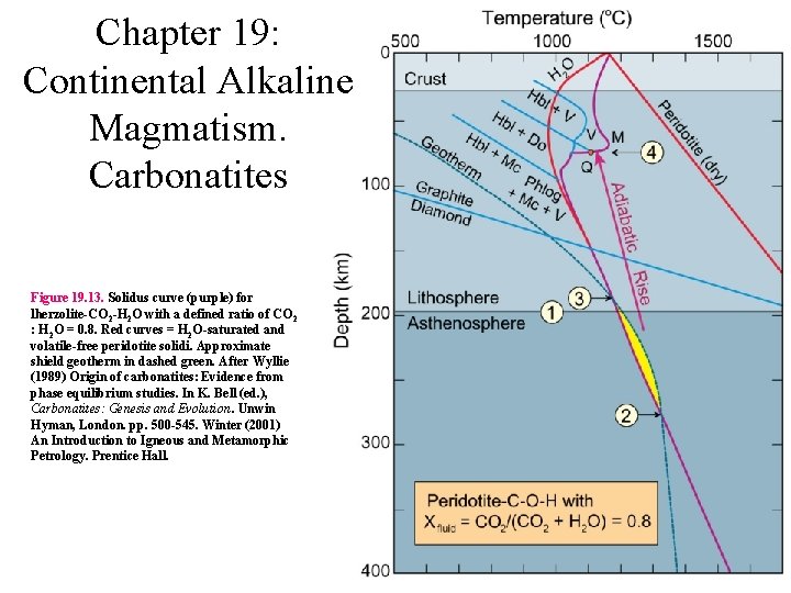 Chapter 19: Continental Alkaline Magmatism. Carbonatites Figure 19. 13. Solidus curve (purple) for lherzolite-CO