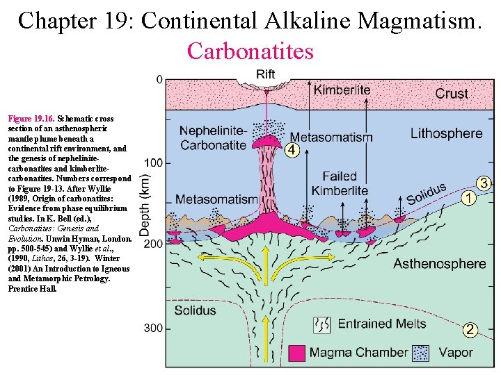 Chapter 19: Continental Alkaline Magmatism. Carbonatites Figure 19. 16. Schematic cross section of an