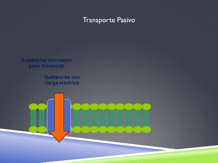 Sustancias con mayor peso molecular Sustancias con carga eléctrica 