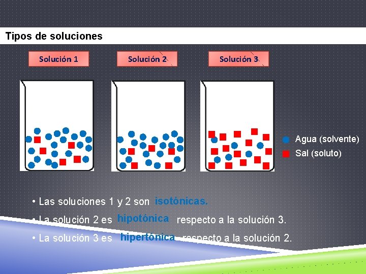 Tipos de soluciones Solución 1 Solución 2 Solución 3 Agua (solvente) Sal (soluto) •