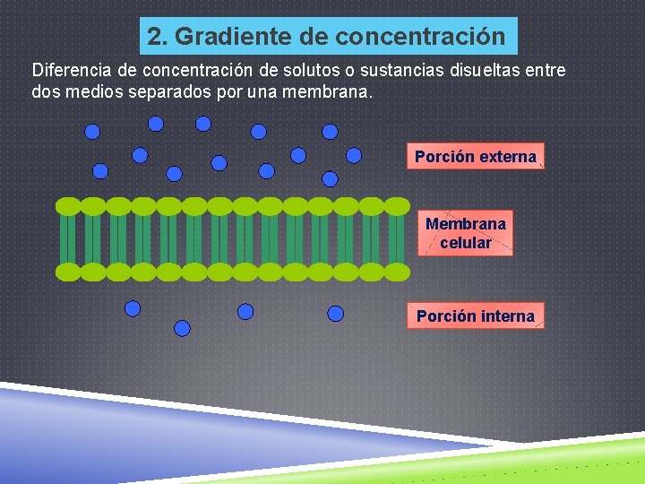 2. Gradiente de concentración Diferencia de concentración de solutos o sustancias disueltas entre dos