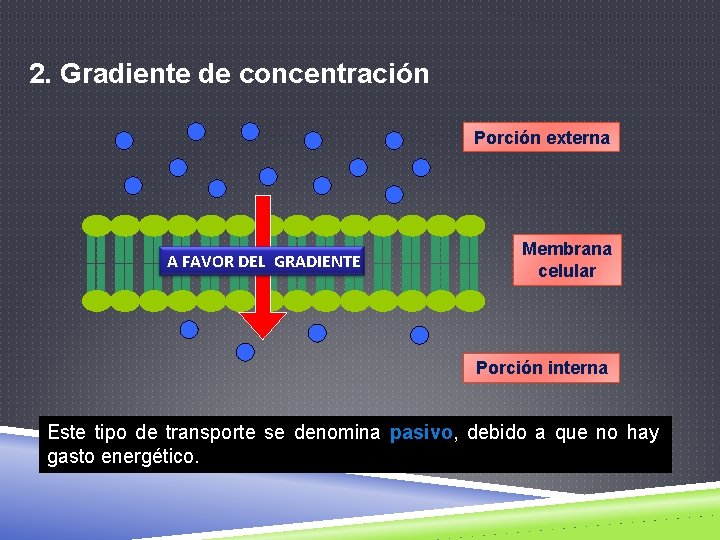 2. Gradiente de concentración Porción externa A FAVOR DEL GRADIENTE Membrana celular Porción interna