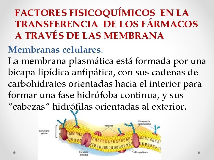 FACTORES FISICOQUÍMICOS EN LA TRANSFERENCIA DE LOS FÁRMACOS A TRAVÉS DE LAS MEMBRANA Membranas FACTORES FISICOQUÍMICOS EN LA TRANSFERENCIA DE LOS FÁRMACOS A TRAVÉS DE LAS MEMBRANA Membranas