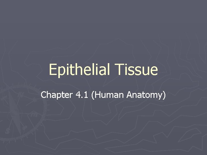 Epithelial Tissue Chapter 4. 1 (Human Anatomy) 