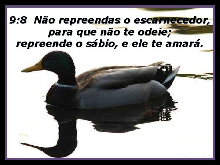 9: 8 Não repreendas o escarnecedor, para que não te odeie; repreende o sábio,