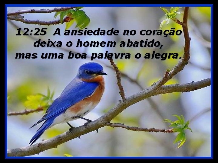 12: 25 A ansiedade no coração deixa o homem abatido, mas uma boa palavra