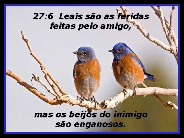 27: 6 Leais são as feridas feitas pelo amigo, mas os beijos do inimigo