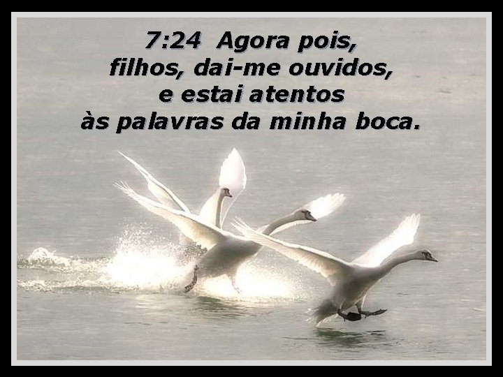 7: 24 Agora pois, filhos, dai-me ouvidos, e estai atentos às palavras da minha