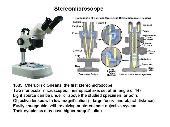 Stereomicroscope 1685, Cherubin d’Orléans: the first stereomicroscope Two monocular microscopes, their optical axis set