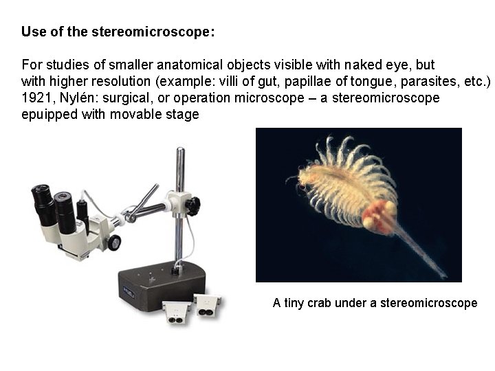 Use of the stereomicroscope: For studies of smaller anatomical objects visible with naked eye,