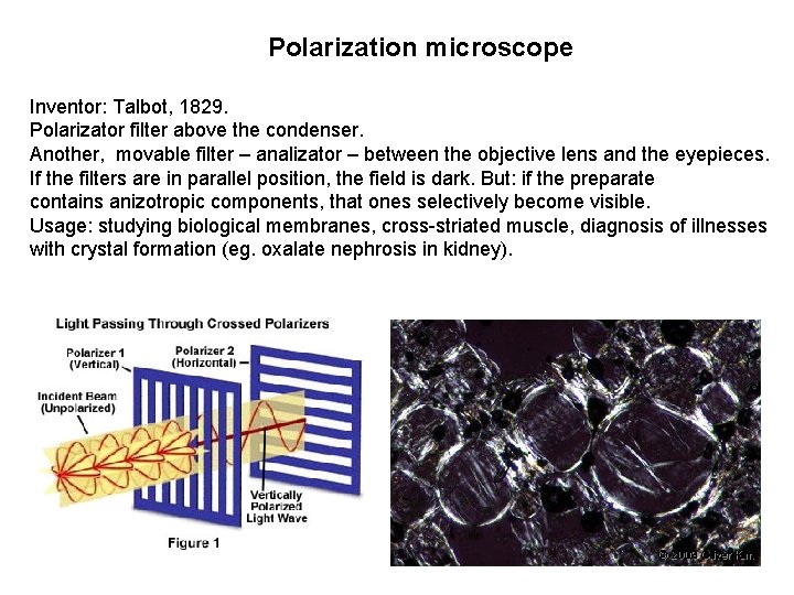 Polarization microscope Inventor: Talbot, 1829. Polarizator filter above the condenser. Another, movable filter –