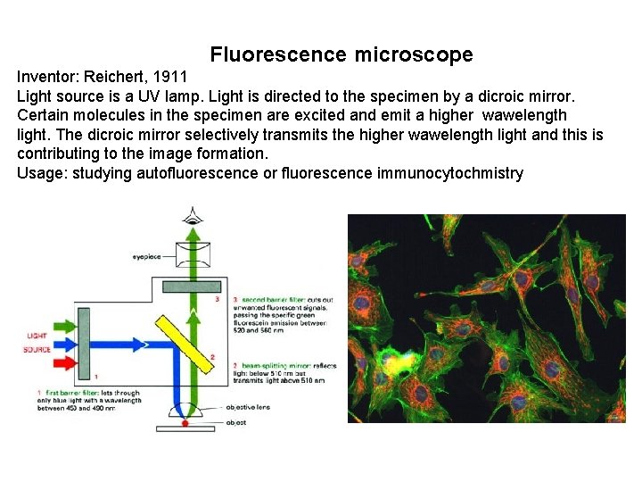 Fluorescence microscope Inventor: Reichert, 1911 Light source is a UV lamp. Light is directed