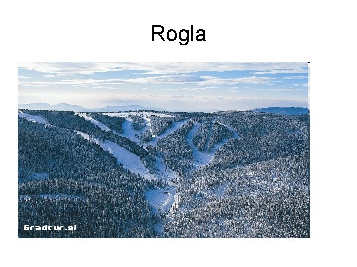 Rogla 