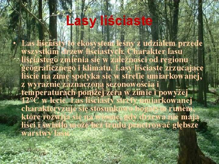 lasy-liciaste-strefy-umiarkowanej-prezentacja-multimedialna-z-geografii