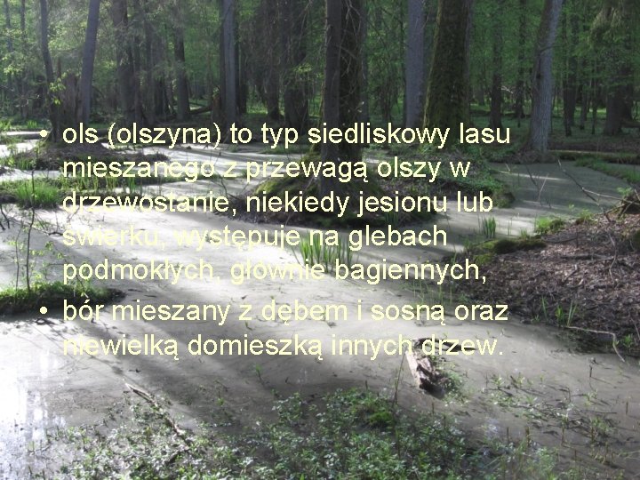  • ols (olszyna) to typ siedliskowy lasu mieszanego z przewagą olszy w drzewostanie,