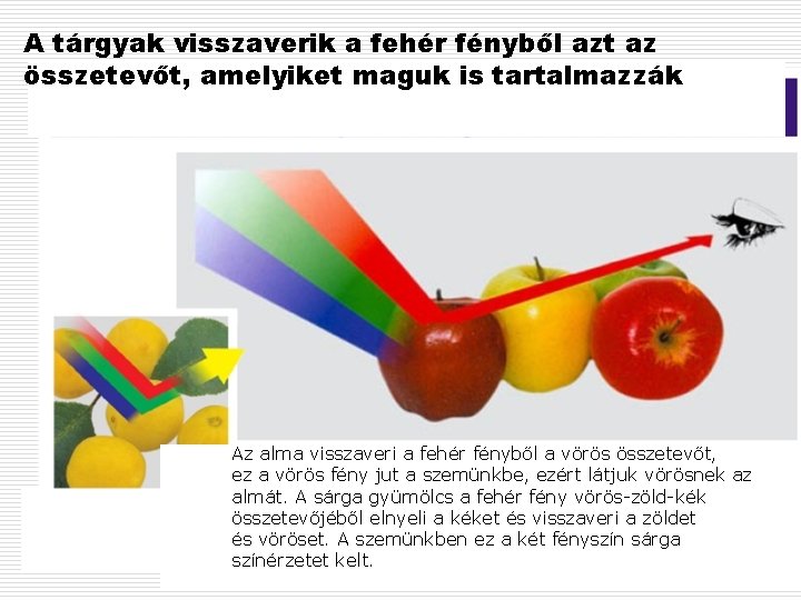 A tárgyak visszaverik a fehér fényből azt az összetevőt, amelyiket maguk is tartalmazzák Az