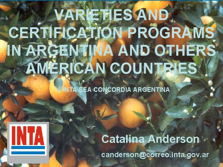 VARIETIES AND CERTIFICATION PROGRAMS IN ARGENTINA AND OTHERS AMERICAN COUNTRIES INTA EEA CONCORDIA ARGENTINA