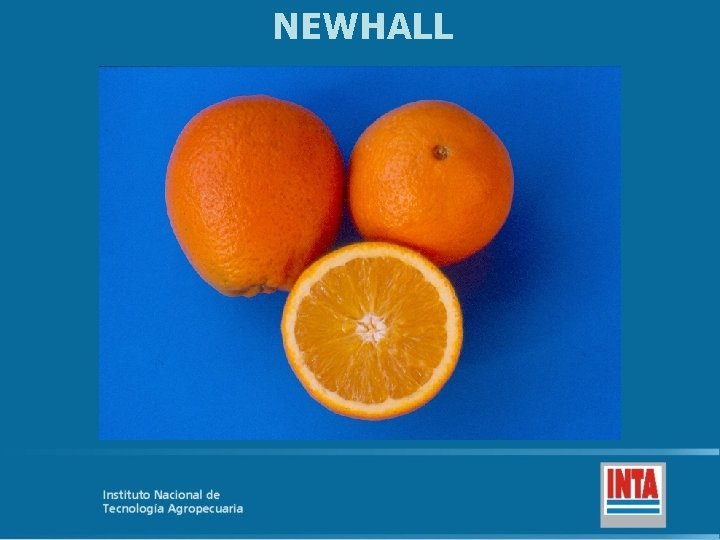 NEWHALL 