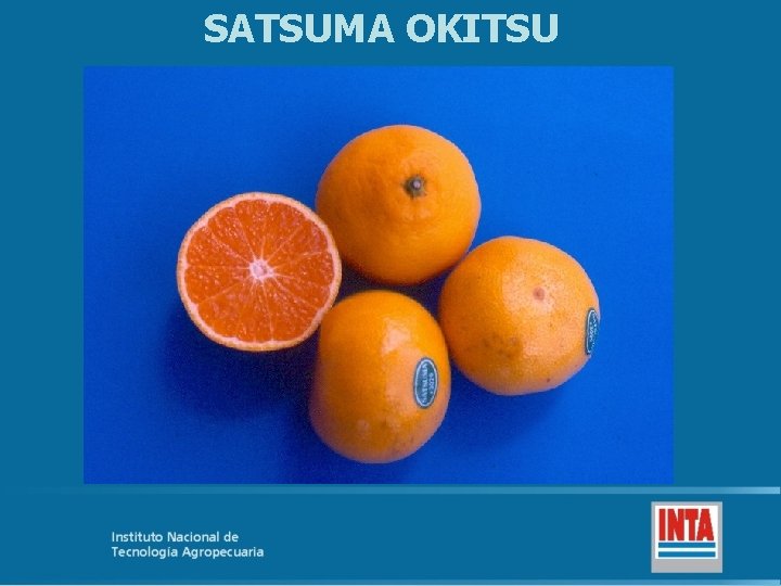 SATSUMA OKITSU 