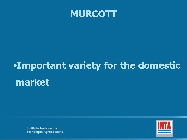 MURCOTT • Important variety for the domestic market 