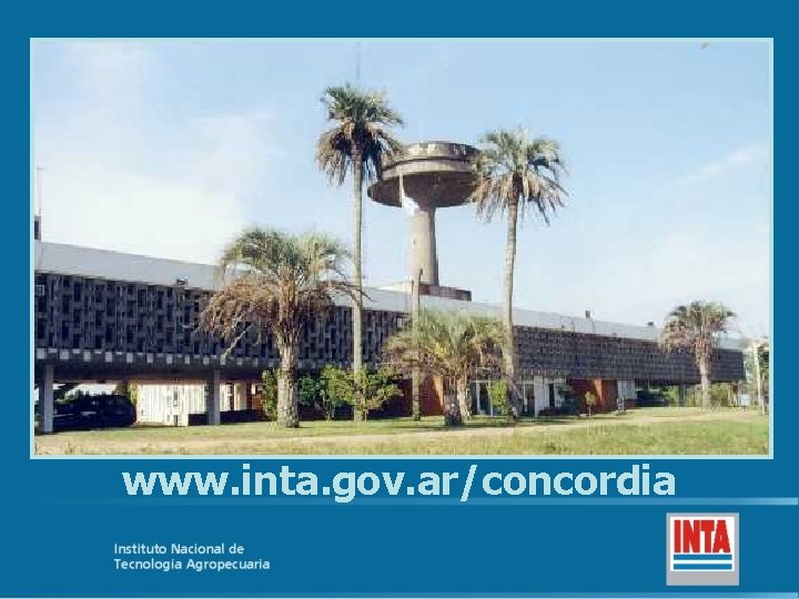 www. inta. gov. ar/concordia 