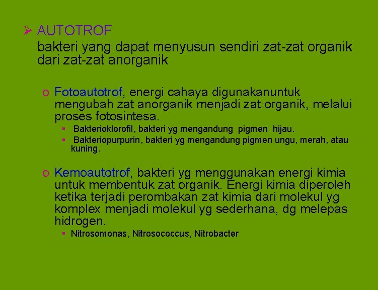 Ø AUTOTROF bakteri yang dapat menyusun sendiri zat-zat organik dari zat-zat anorganik o Fotoautotrof,