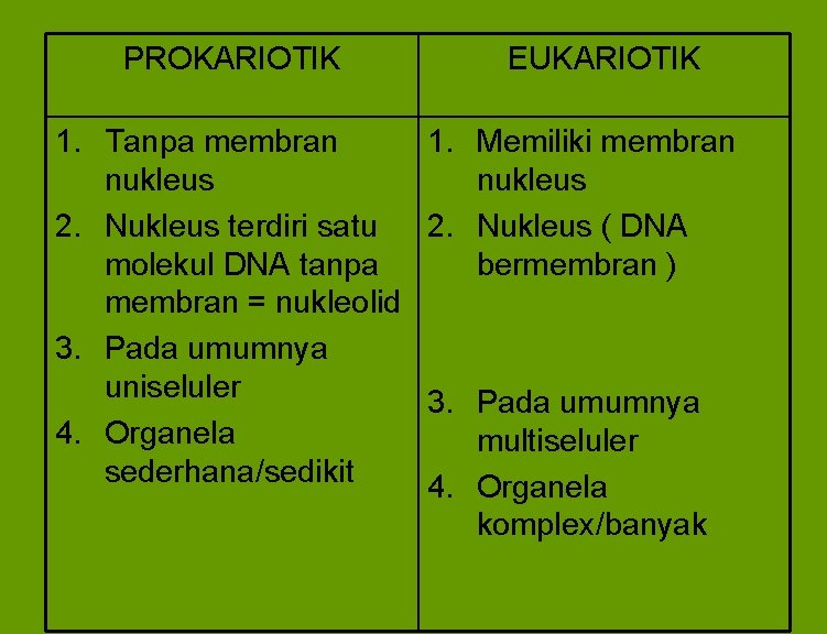 PROKARIOTIK 1. Tanpa membran nukleus 2. Nukleus terdiri satu molekul DNA tanpa membran =