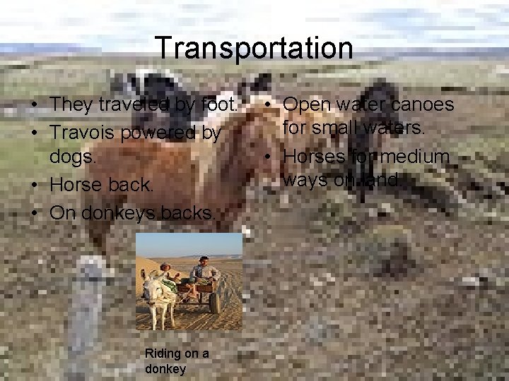 Transportation • They traveled by foot. • Travois powered by dogs. • Horse back.