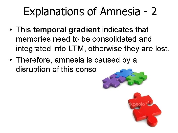 Explanations of Amnesia - 2 • This temporal gradient indicates that memories need to