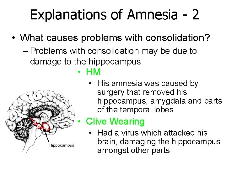 Explanations of Amnesia - 2 • What causes problems with consolidation? – Problems with