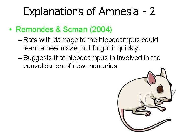 Explanations of Amnesia - 2 • Remondes & Scman (2004) – Rats with damage Explanations of Amnesia - 2 • Remondes & Scman (2004) – Rats with damage