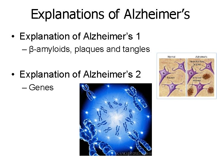 Explanations of Alzheimer’s • Explanation of Alzheimer’s 1 – β-amyloids, plaques and tangles •