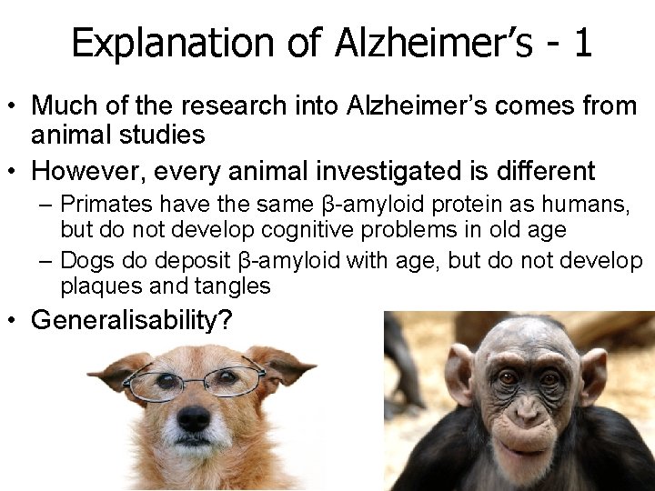 Explanation of Alzheimer’s - 1 • Much of the research into Alzheimer’s comes from